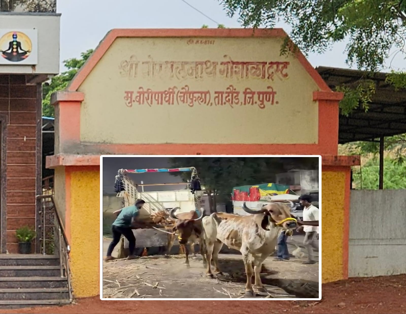 बोरमलनाथ गोशाळेच्या दाखल्याचा ” गोवंश कत्तलीसाठी ” गैरवापर ?