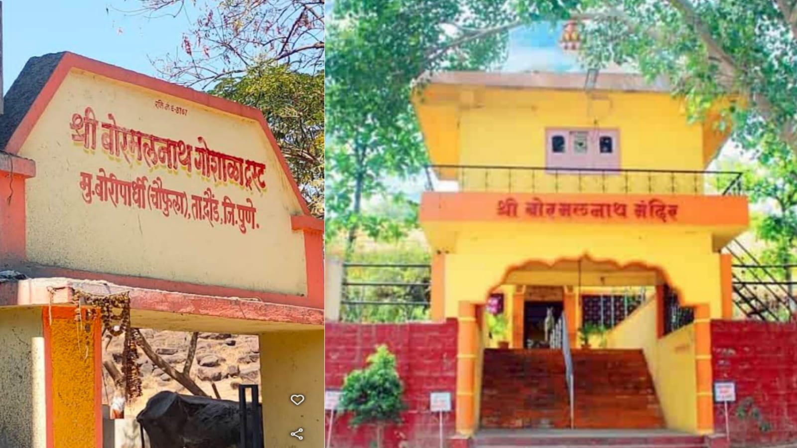 गोसेवेचा बुरखा फाटला ! एका बाजुला गोसेवेचा आव आणी दुसऱ्या बाजुला गोवंशाचा छळ !